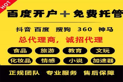 SEM优化托管：成功提升广告转化率的案例分析